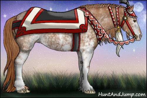Horse Color:White Spotted Chestnut