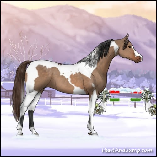 Horse Color:Bay Dun  and Liver Red Dun Tobiano 