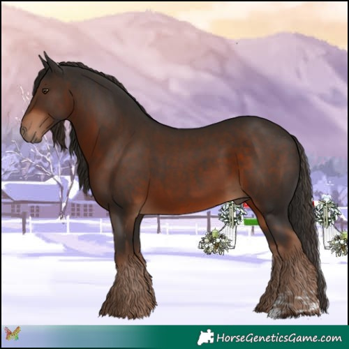 Horse Color:Liver Chestnut and Liver Chestnut