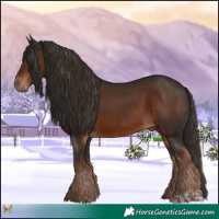Horse Color:Liver Chestnut  and Liver Chestnut 