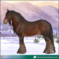 Horse Color:Liver Chestnut  and Liver Chestnut 