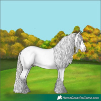 Horse Color:Liver Red Dun Mushroom Tobiano Snowflake Varnish
