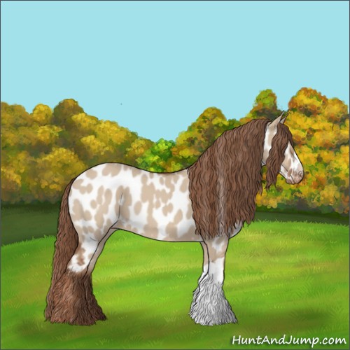 Horse Color:Red Dun Appaloosa 