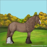 Horse Color:Liver Red Dun 