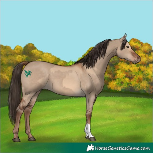 Horse Color:Red Dun  and Liver Red Dun 