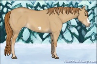 Horse Color:Red Dun Splash Frame 