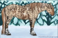 Horse Color:White Spotted Liver Chestnut Mushroom and Red Dun