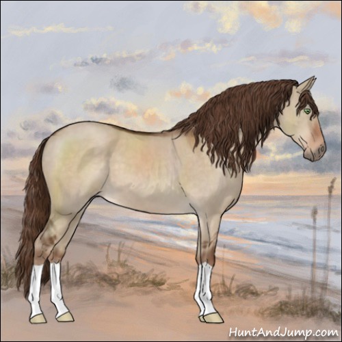 Horse Color:Liver Red Dun 