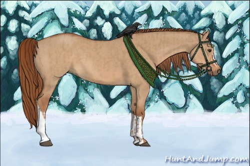 Horse Color:Red Dun  and Red Dun 