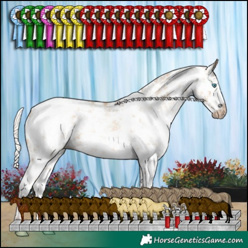Horse Color:Gray White Spotted Silver Amber Cream Champagne Pearl Sabino Splash Blanket Rabicano