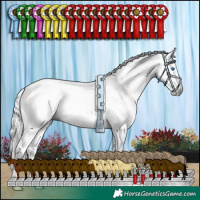Horse Color:Gray White Spotted Silver Amber Cream Champagne Pearl Sabino Splash Appaloosa Rabicano 