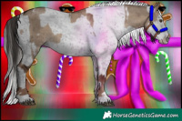 Horse Color:Liver Red Dun  and Liver Red Dun Appaloosa 