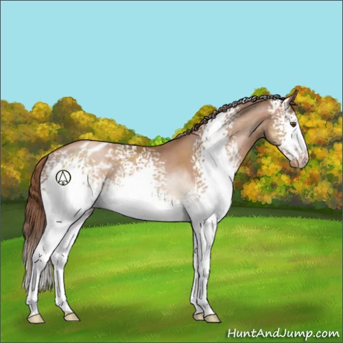 Horse Color:White Spotted Brown Pearl Blanket Rabicano