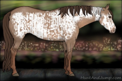 Horse Color:Liver Red Dun  and Liver Red Dun Frame 