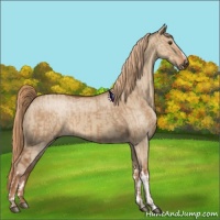 Horse Color:Red Dun  and Red Dun 