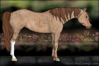 Horse Color:Liver Red Dun and Red Dun