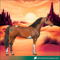 Horse Color:Bay Sabino Tobiano 
