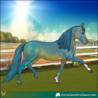 Horse Color:Watercolor Bay Tobiano