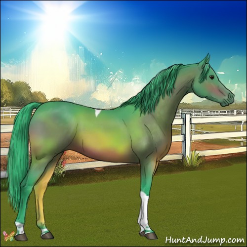 Horse Color:Watercolor Brown Tobiano