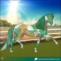 Horse Color:Watercolor Brown Splash Tobiano 
