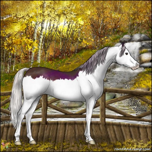 Horse Color:Silver Brown Splash 
