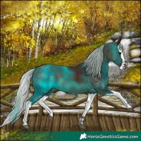 Horse Color:Silver Brown Splash