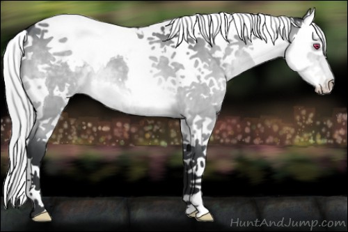 Horse Color:White Spotted Silver Brown Chinchilla Dun Splash Tobiano