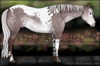 Horse Color:Chocolate Silver Brown Chinchilla Splash Tobiano 