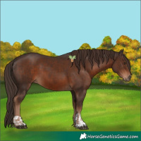Horse Color:Liver Chestnut  and Liver Chestnut 