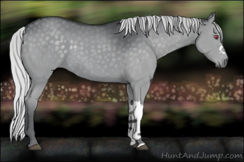 Horse Color:Silver Grullo Chinchilla 
