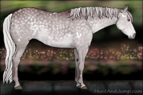 Horse Color:White Spotted Chocolate Silver Grullo Chinchilla 