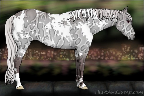 Horse Color:White Spotted Chocolate Silver Bay Chinchilla Ice Dun 