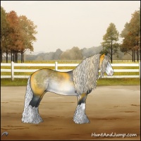 Horse Color:Silver Brown Chinchilla Roan Sabino Splash 