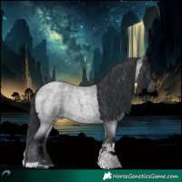 Horse Color:Midnight Brown Chinchilla Roan Onyx Tobiano 