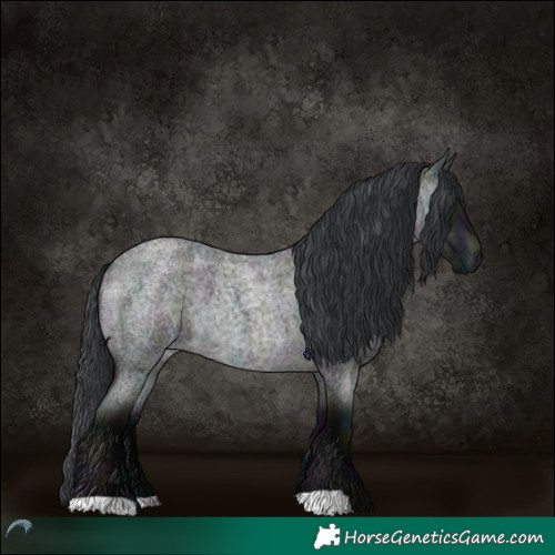Horse Color:Midnight Brown Chinchilla Roan