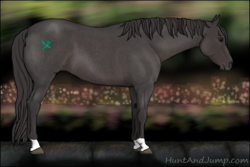Horse Color:Smoky Blue Roan