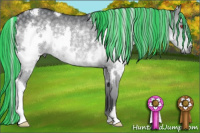 Horse Color:Painted White Spotted Silver Grullo Chinchilla Rabicano 