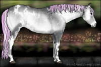 Horse Color:Painted White Spotted Silver Blue Onyx Chinchilla Rabicano 