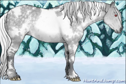 Horse Color:White Spotted Silver Grullo Chinchilla Rabicano