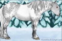 Horse Color:White Spotted Silver Grullo Chinchilla Rabicano 