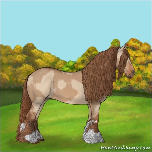 Horse Color:Red Dun  and Red Dun 
