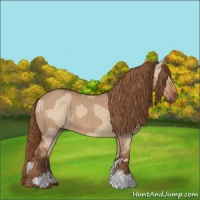 Horse Color:Red Dun  and Red Dun 