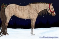 Horse Color:Liver Red Dun  and Liver Red Dun 