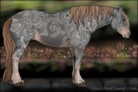 Horse Color:Liver Chestnut Ice 