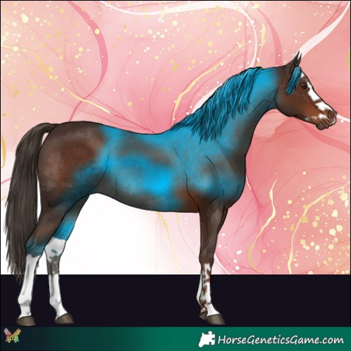 Horse Color:Liver Chestnut Splash 