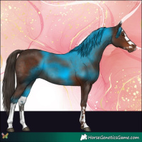 Horse Color:Liver Chestnut Splash 