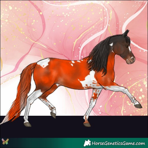 Horse Color:Liver Chestnut Splash Tobiano 