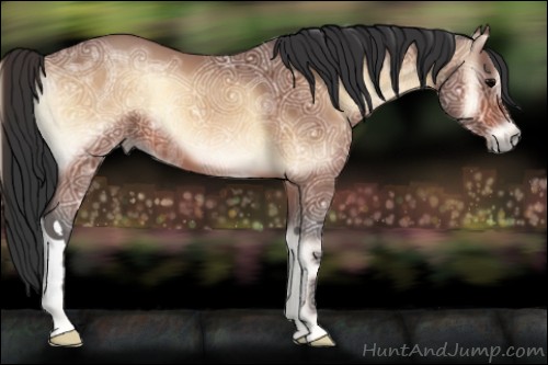 Horse Color:Bay Ice Onyx