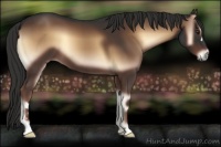 Horse Color:Liver Red Onyx 