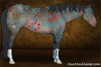 Horse Color:Platinum Brown 